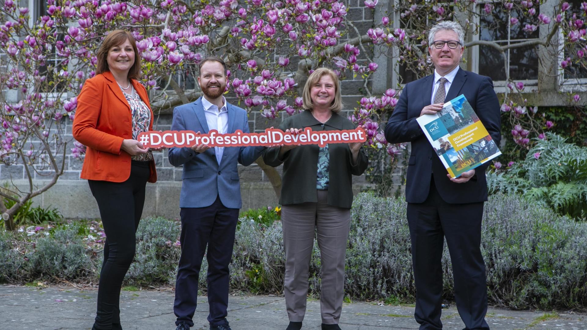 Professional Development Framework Launch 