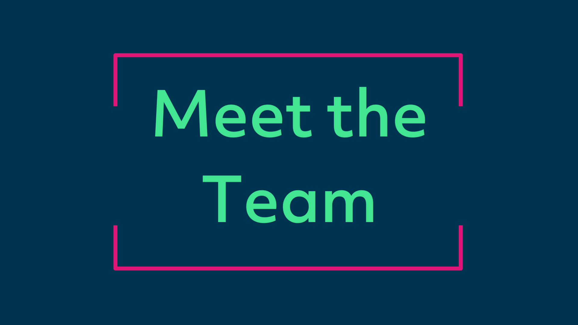 Meet the team