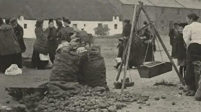 A one-day symposium at DCU exploring the history of the food supply journey from catastrophic famine in the mid-nineteenth century to today