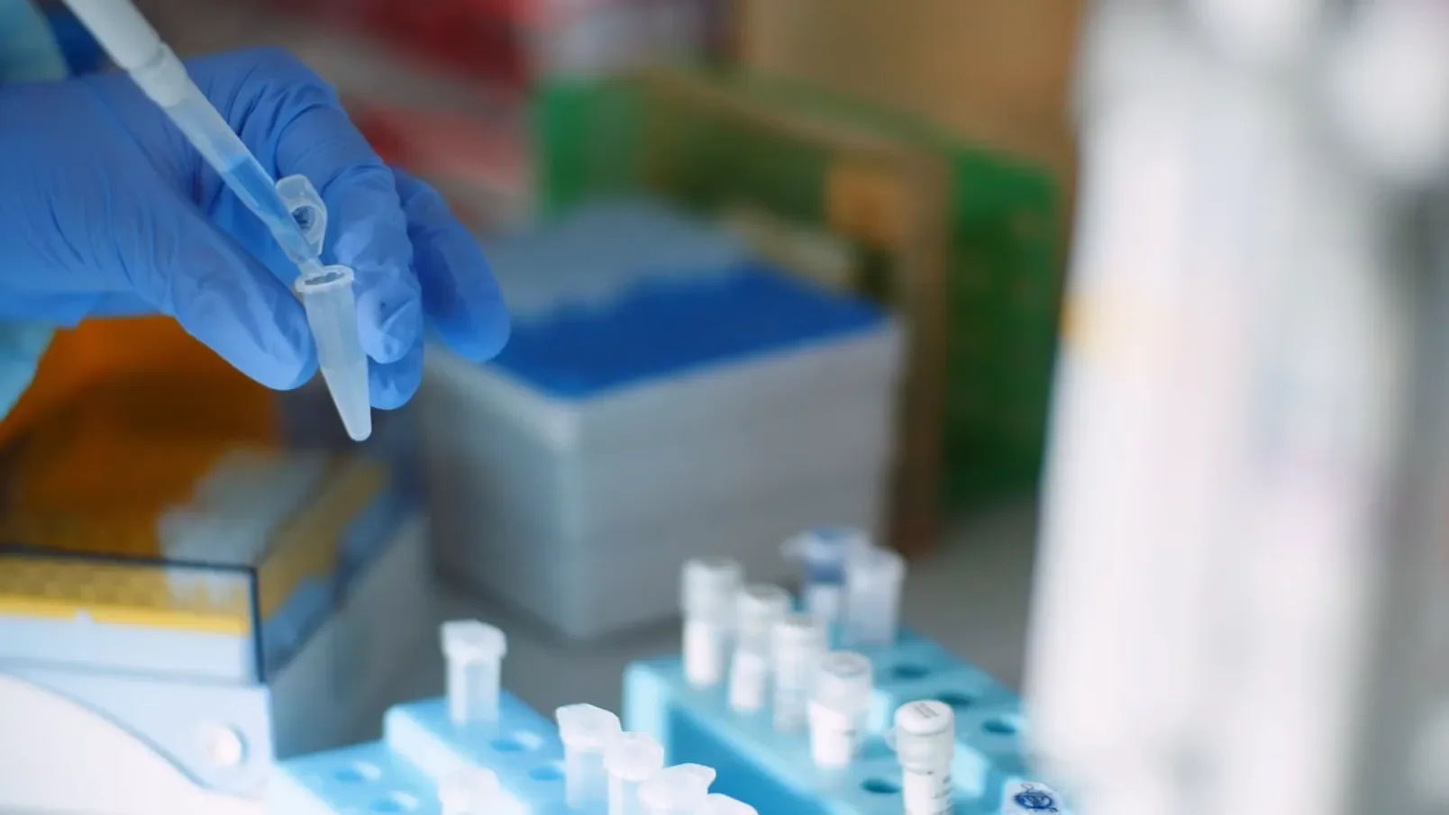 DCU collaborates with Irish Medical Device company PBC Biomed on new bone fracture treatment, recently awarded ‘Breakthrough Device Designation’ by the FDA