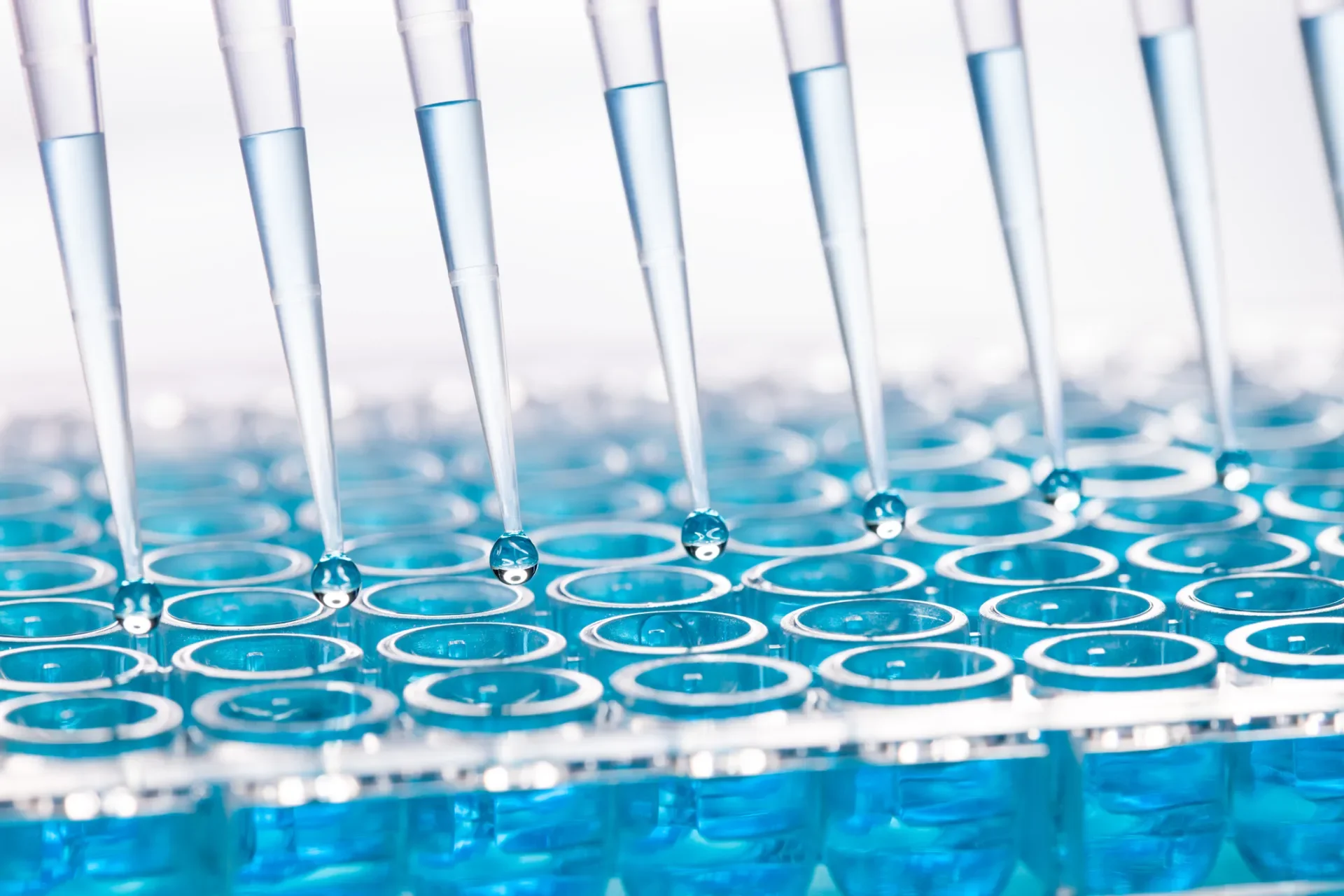 Life Sciences Institute