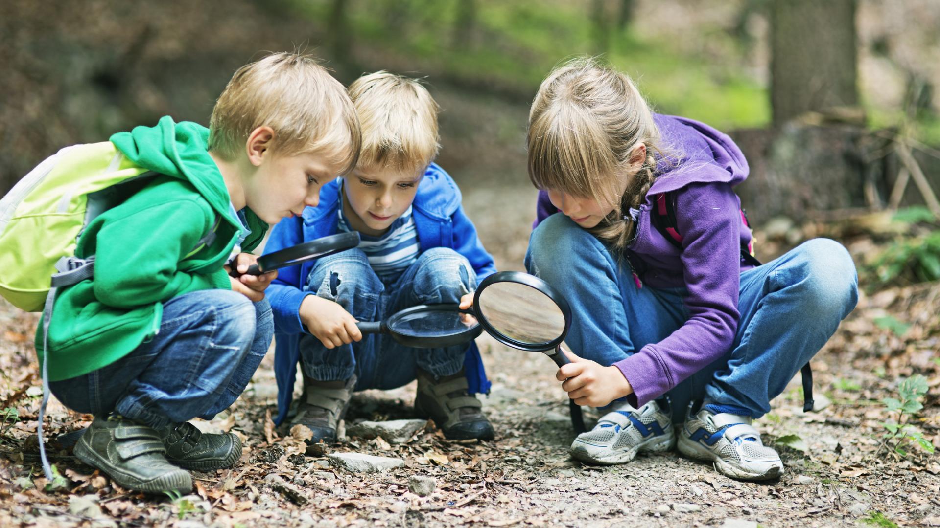 Aistear Early Childhood Education Literature Review 