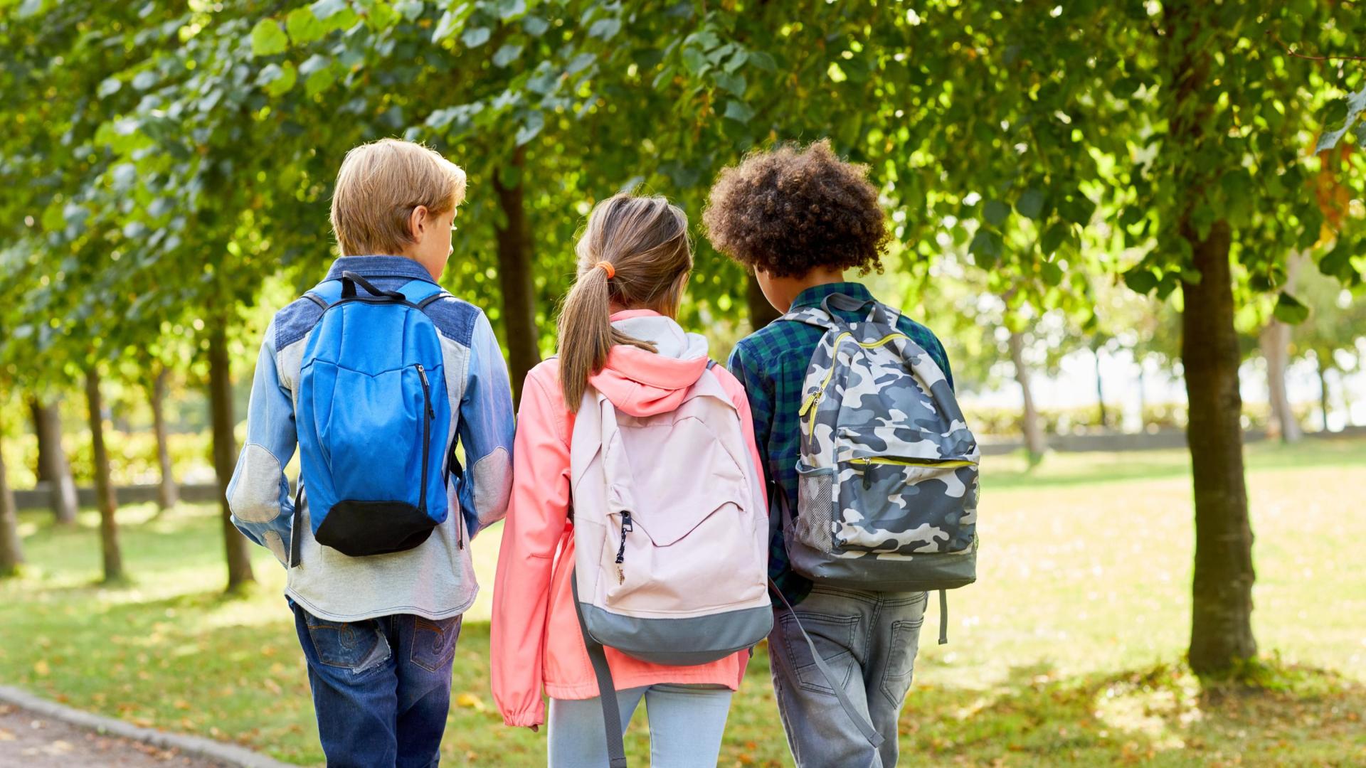 Children going to school