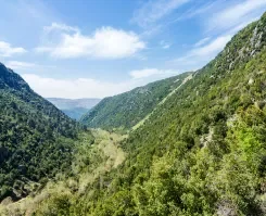 A green valley
