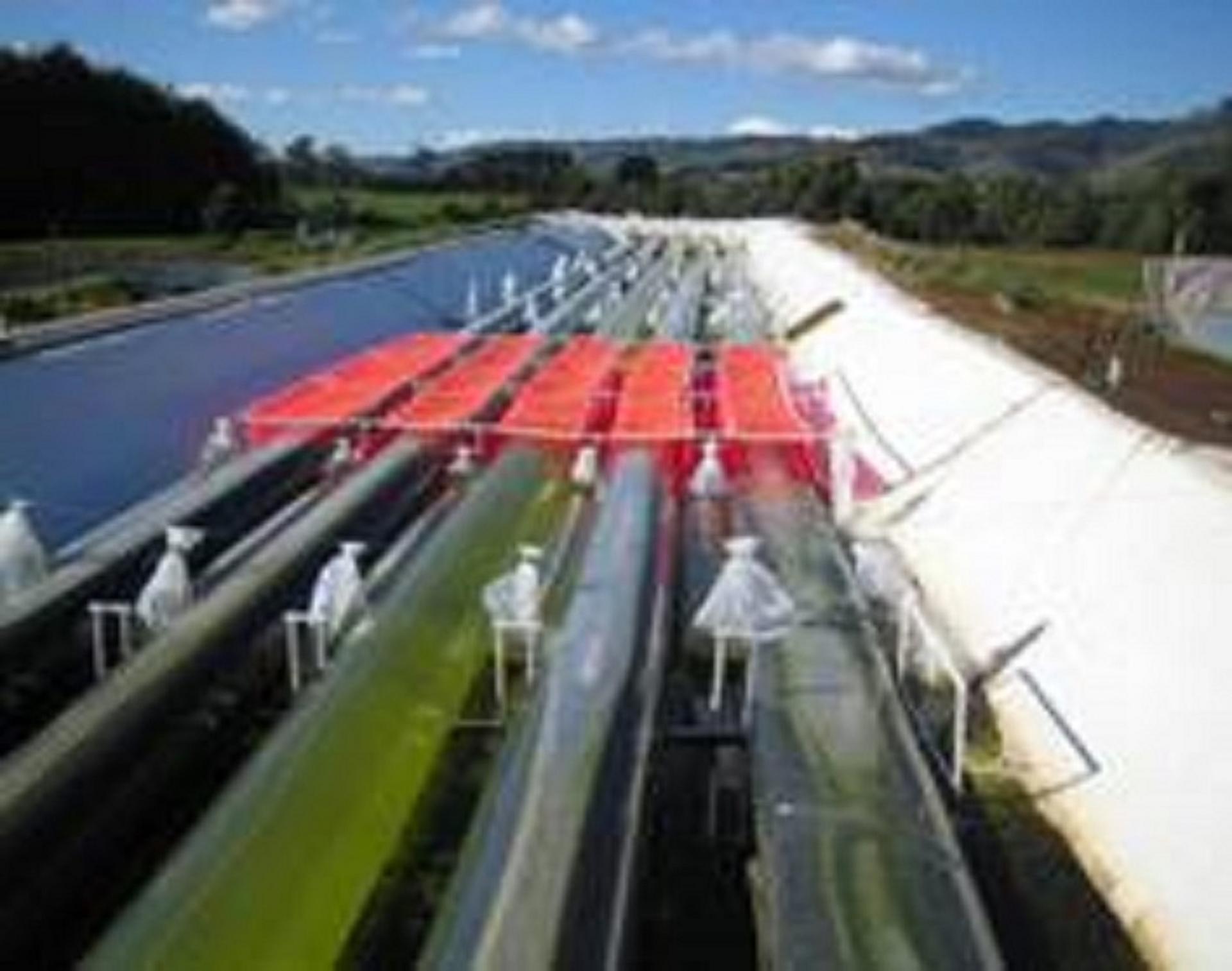 Water Institute