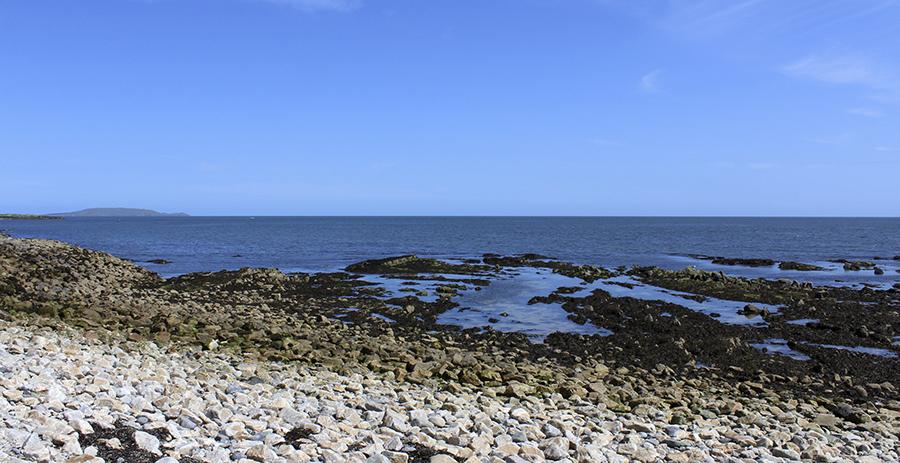 DCU researchers discover untreated sewage problems in Dublin Bay area