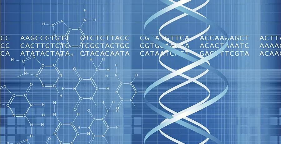 DCU research team find certain opiates can bind to nucleic acids 