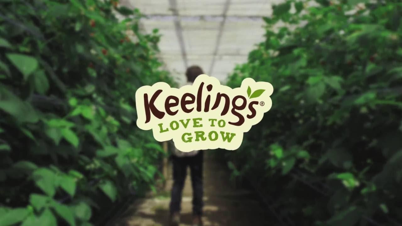 Keelings Logo