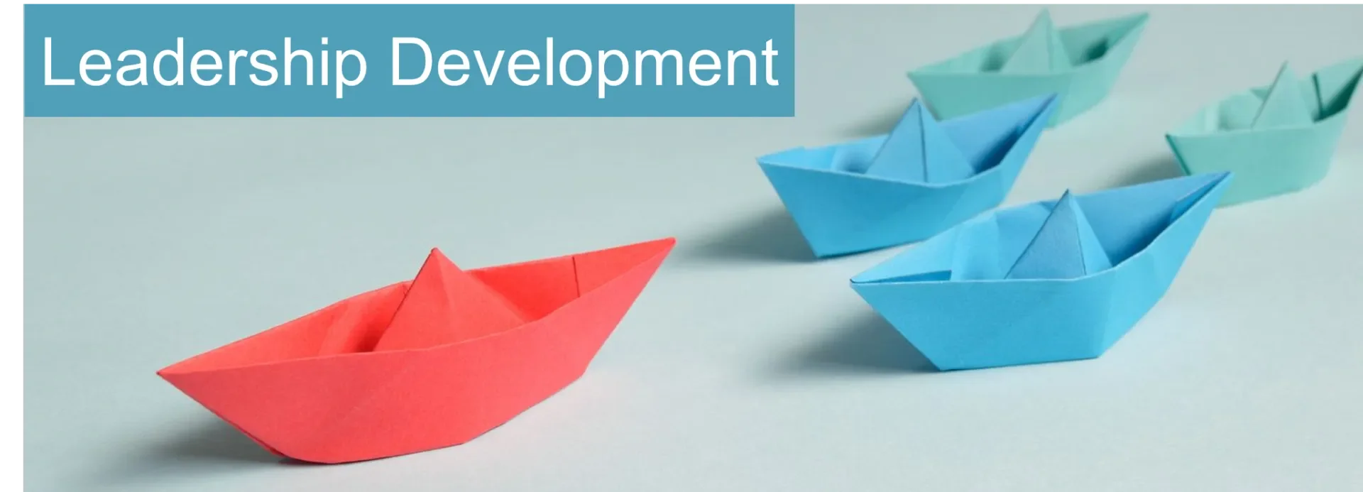 leadership development