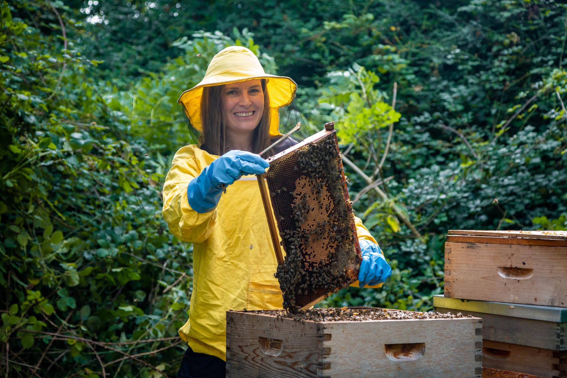 Irish heather honey buzzing with health benefits comparable with Manuka honey 
