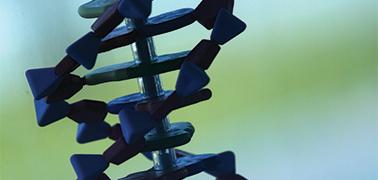 MSc in Diagnostics and Precision Medicine