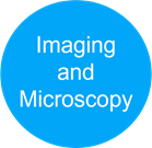 Imaging and Microscopy