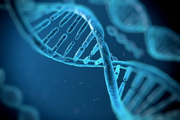 Stock IMage of Souble Helix