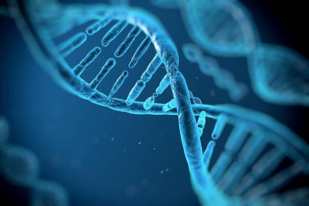 Stock IMage of Souble Helix