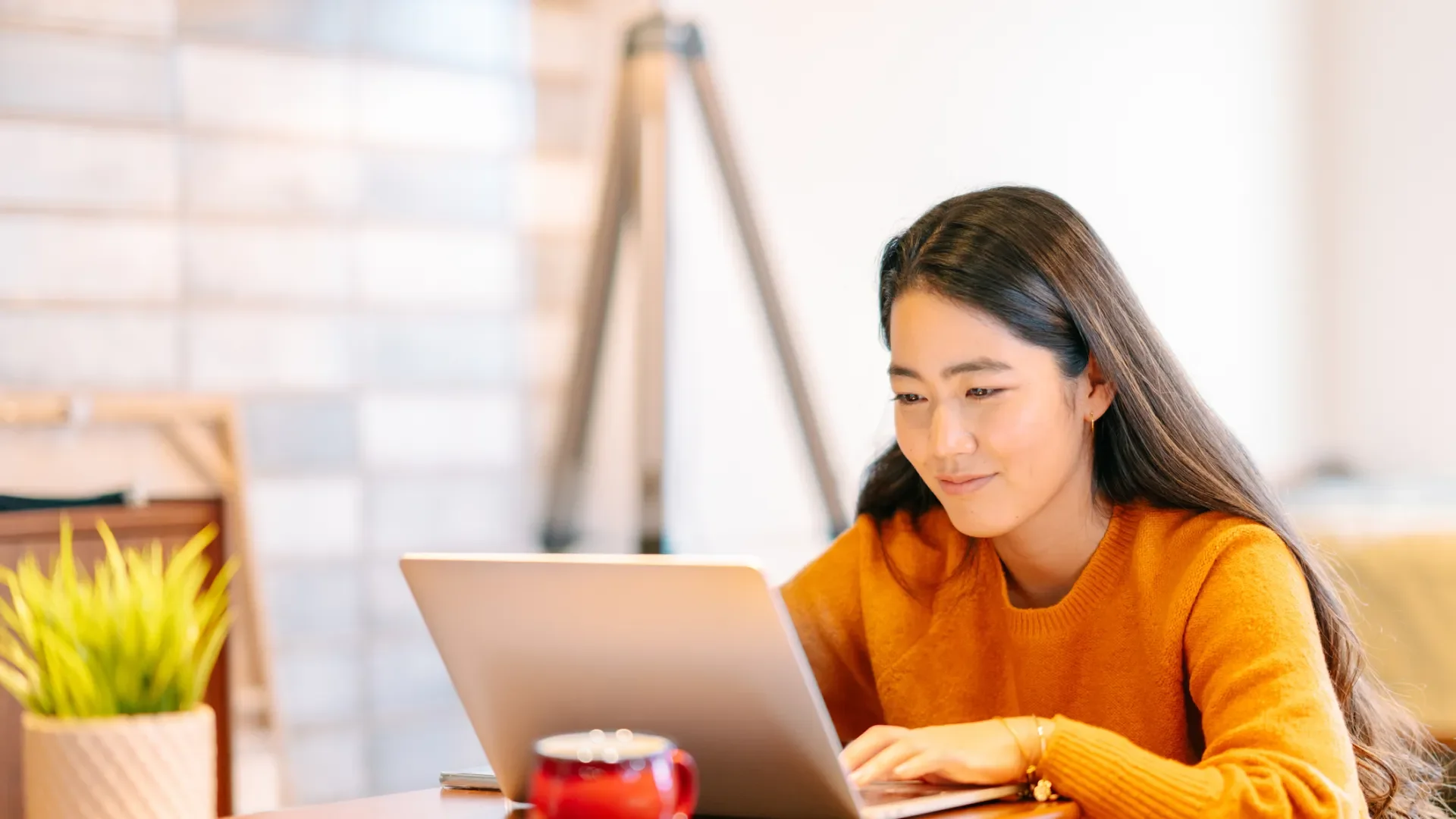  https://www.dcu.ie/registry/postgraduate-admissions-team