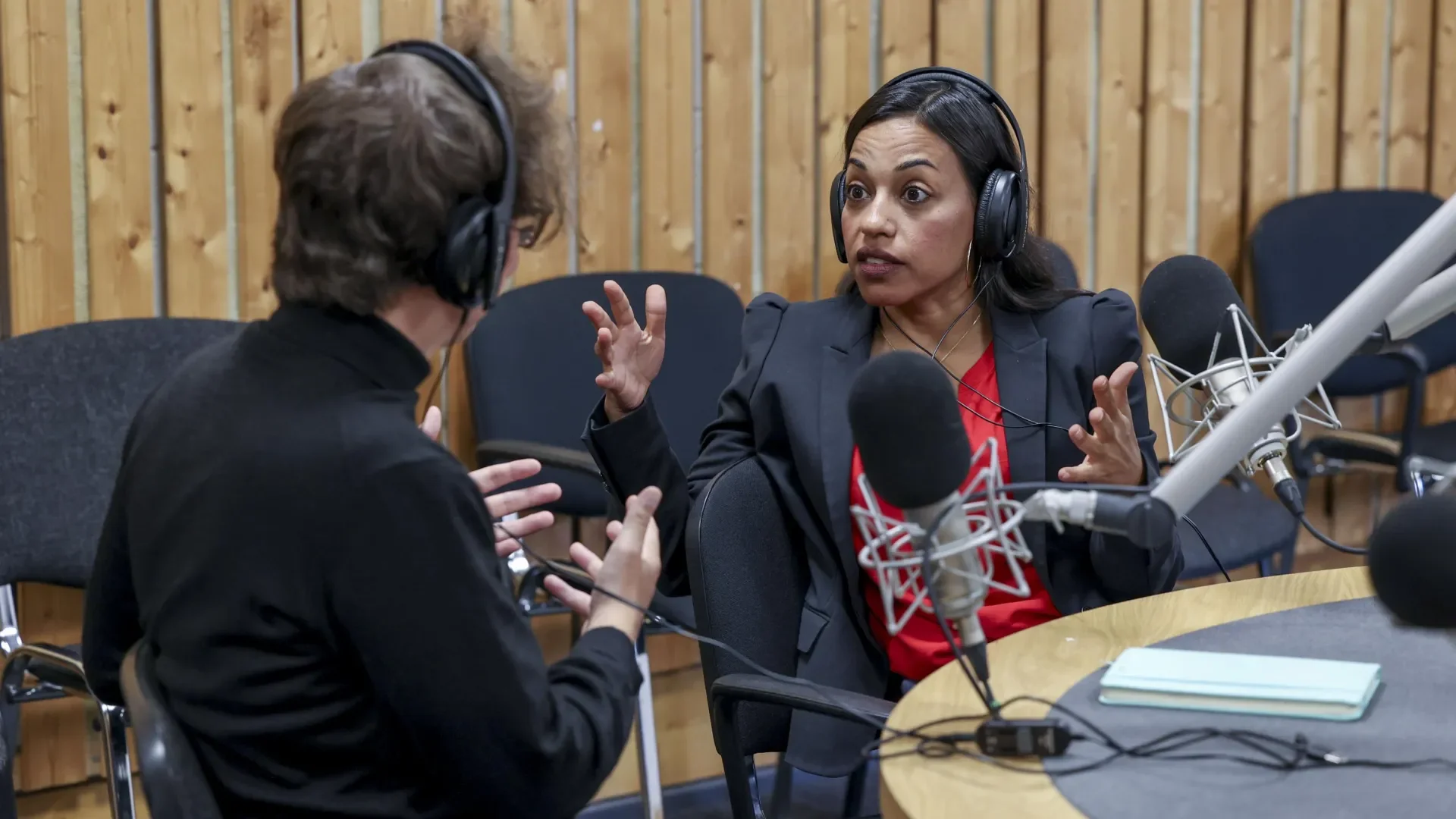 Shows researcher during radio interview