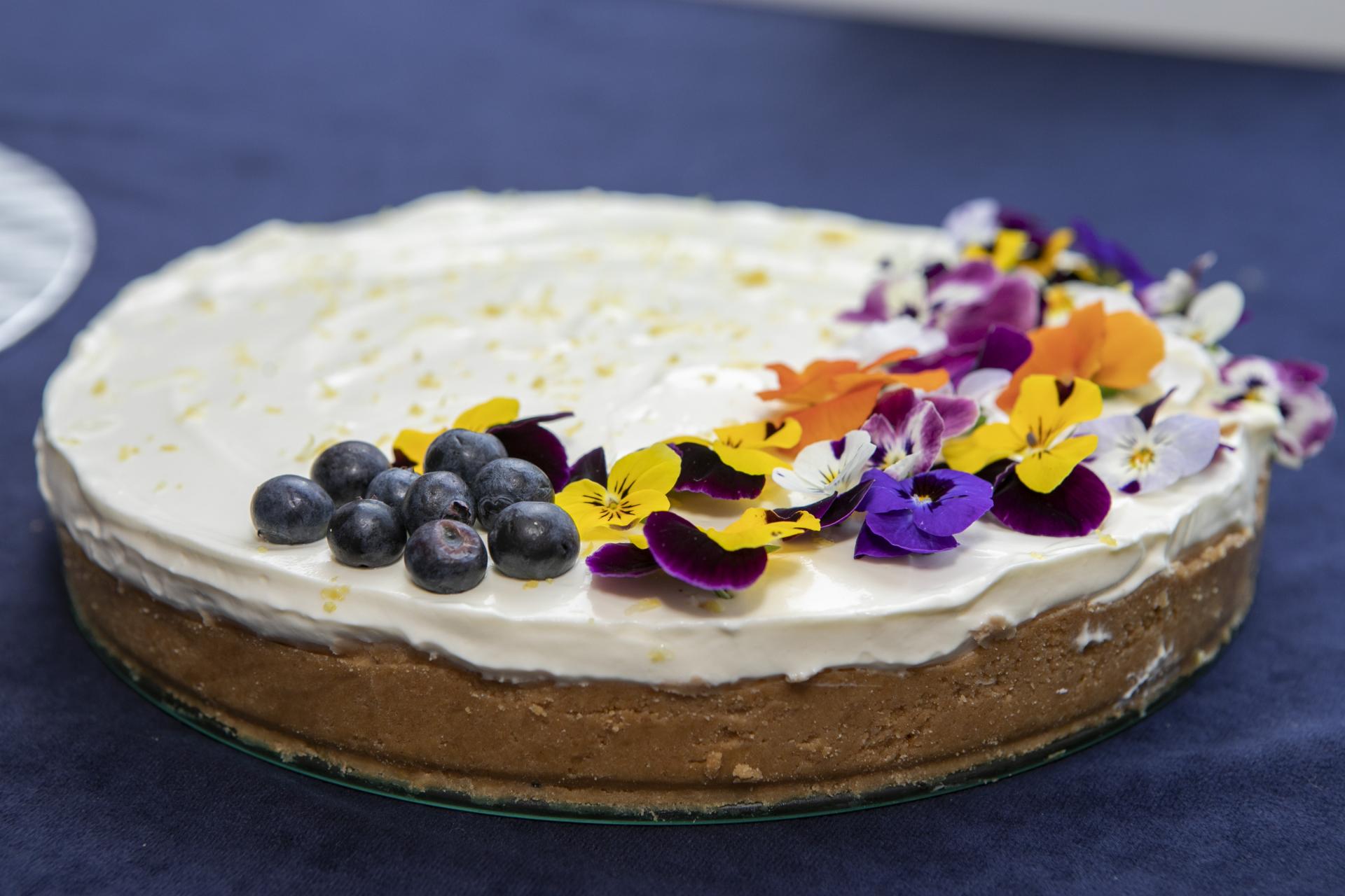 Shows Summer Cheesecake