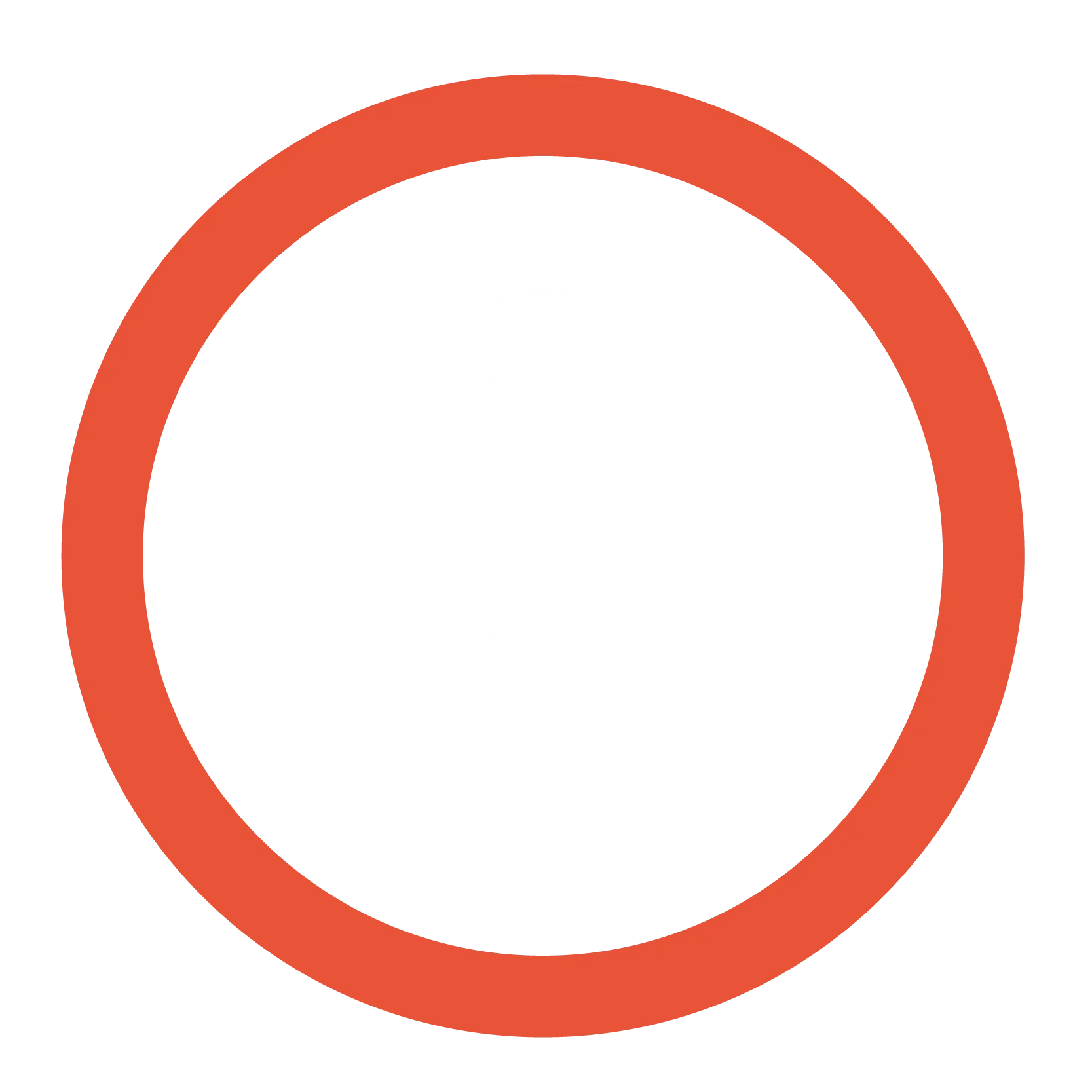 information logo