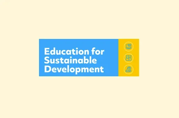 ESD Projects