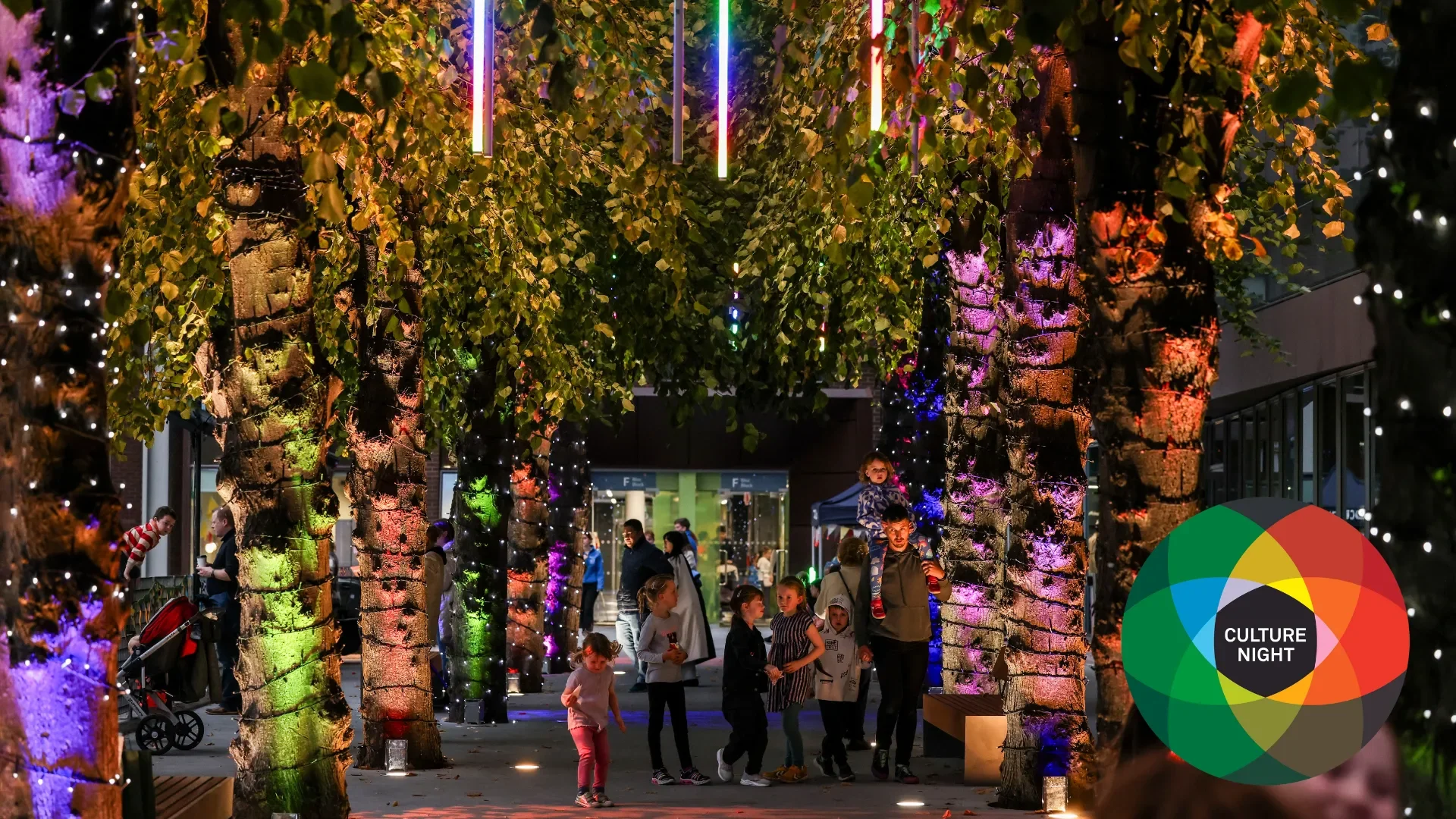 Canopy of light on St. Patrick's Campus