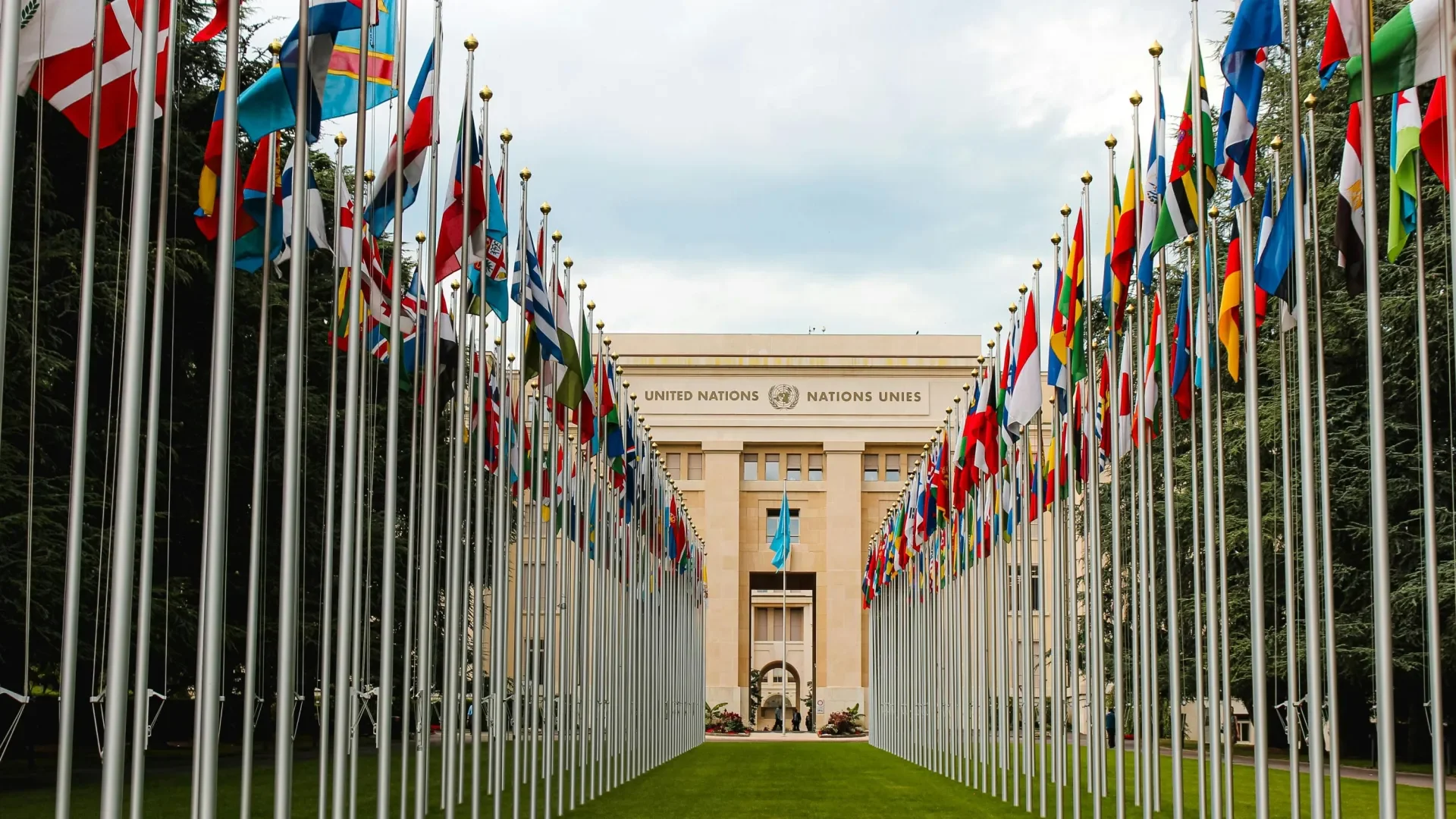 Flag of different countries UN members