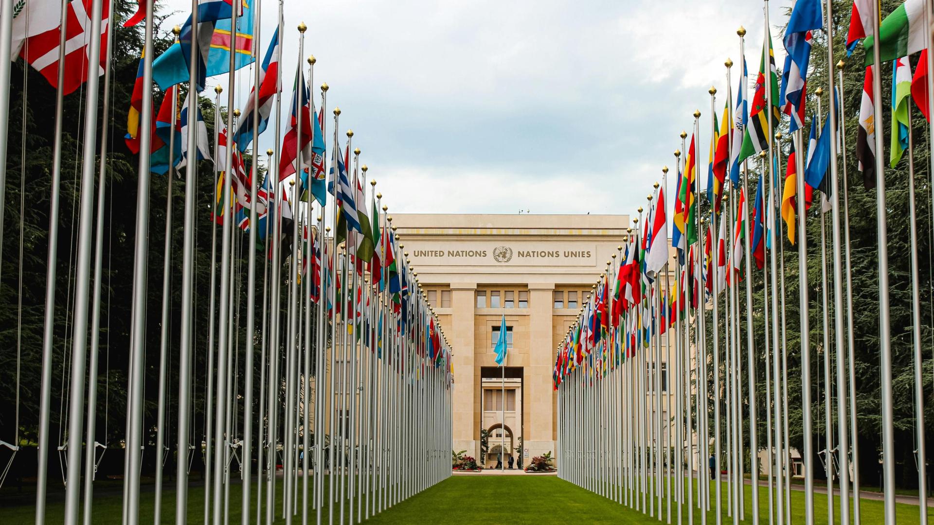 Flag of different countries UN members