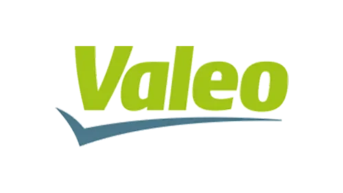 DCU Water: Valeo logo